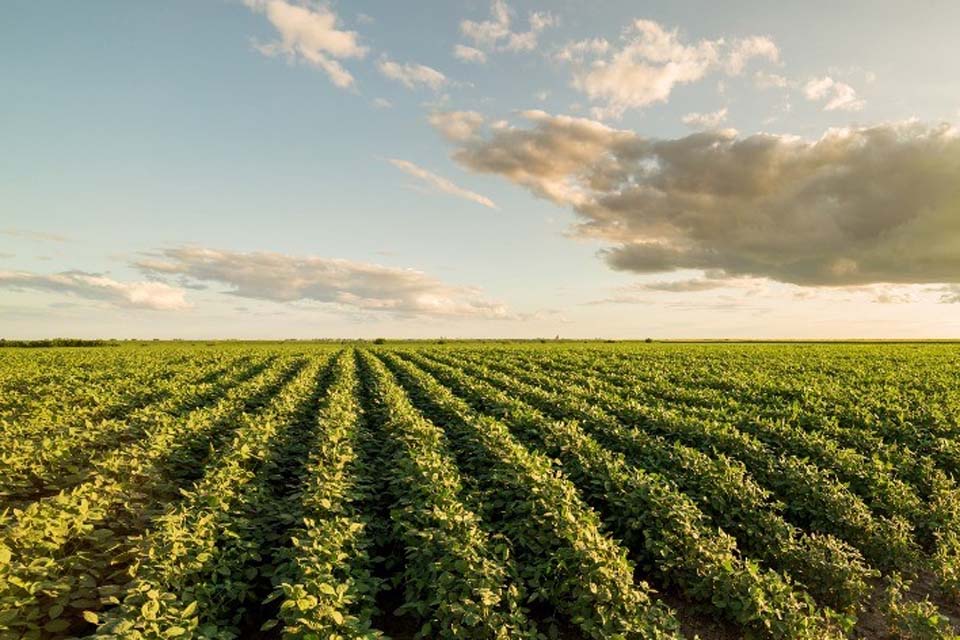 Galileu aponta: “suicídio” agrícola e a escassez de recursos naturais podem atingir a parte central de Rondônia