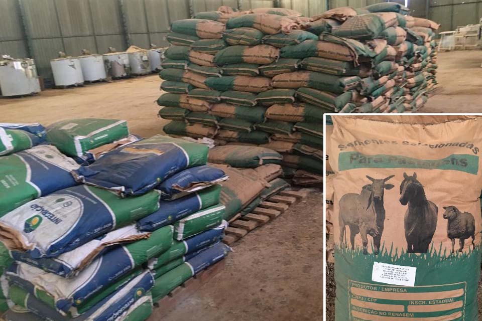 Idaron destrói 440 sacas de sementes ilegais que foram apreendidas na divisa de Rondônia com Mato Grosso