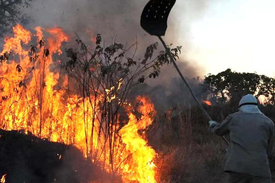 Brigadista morre durante incêndio em canavial