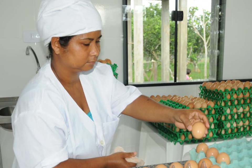 Emater incentiva produtores com ações para atividades de avicultura; Ater promove inclusão à família rural