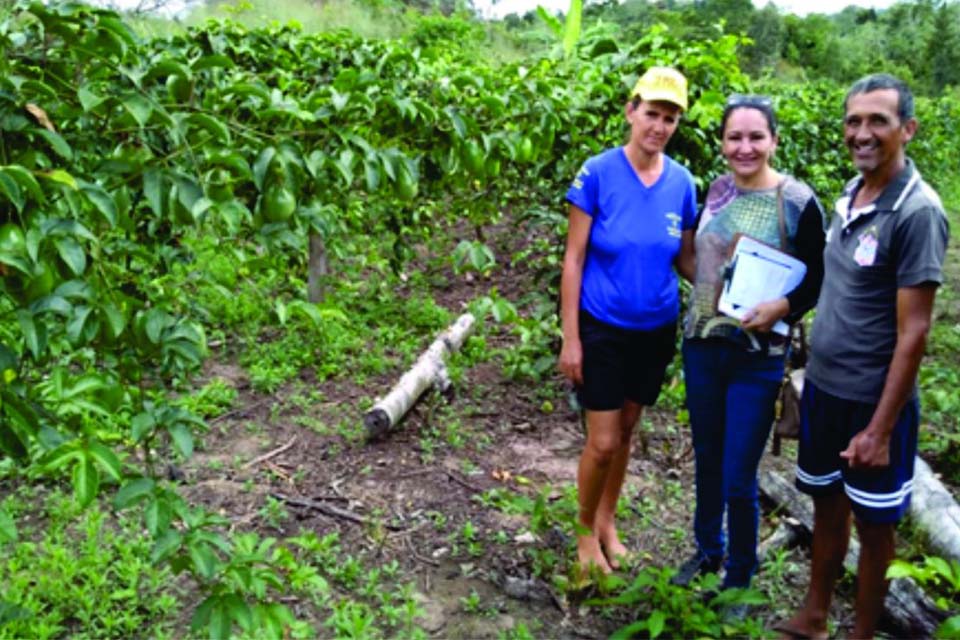 Programa de fomento garantiu renda às famílias das comunidades rurais no município 