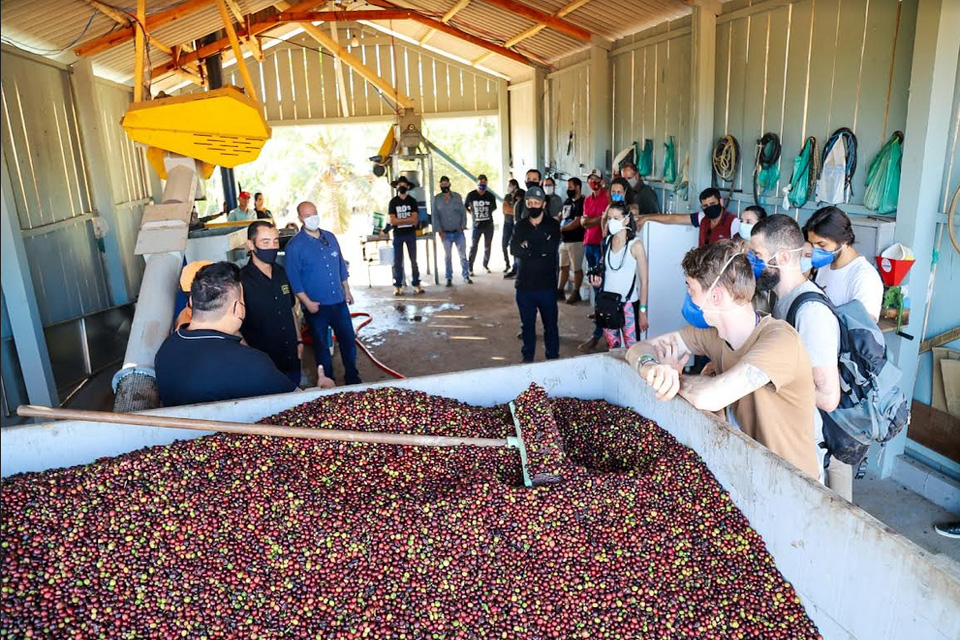 Sebrae apresenta IG Matas de Rondônia no Concafé deste ano