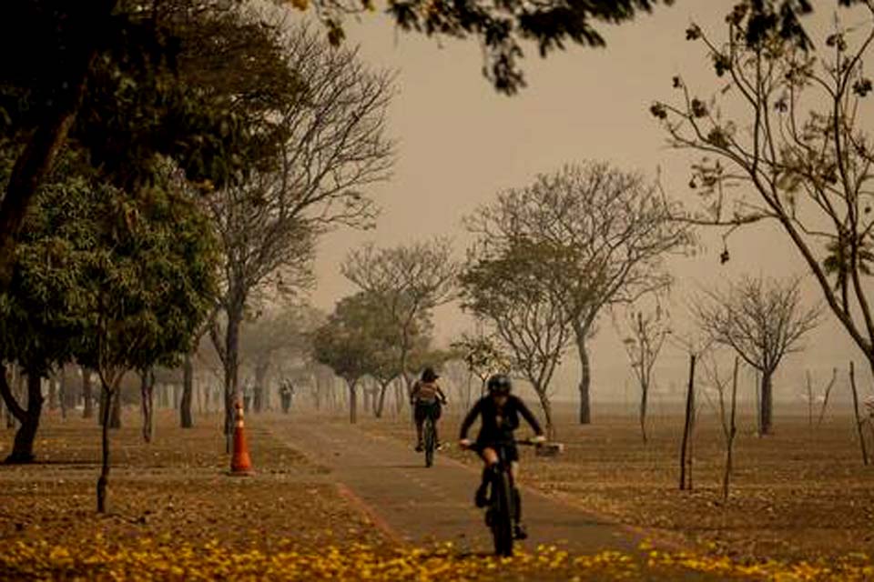 Brasil já registrou 172 mil focos de incêndio em 2024; veja como minimizar impactos na saúde