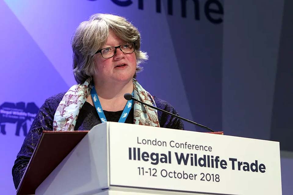 Reino Unido pode se juntar ao Fundo Amazônia, diz ministra britânica