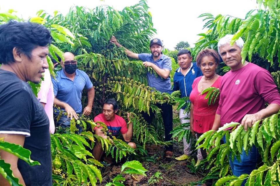 Indígenas interessados no cultivo do café aprendem sobre manejo sustentável em lavouras