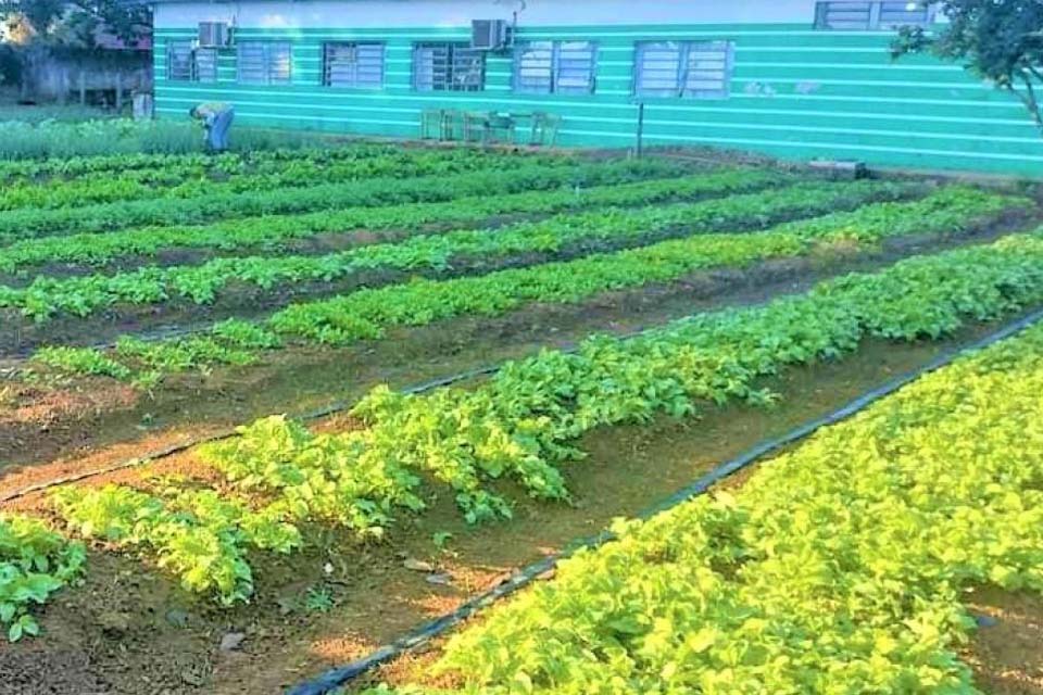 Escolas Pólos do município desenvolvem aulas de Técnicas Agrícolas