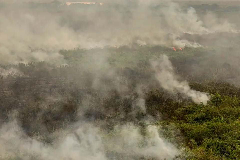 Militares do Exército começam a combater incêndios no Tocantins