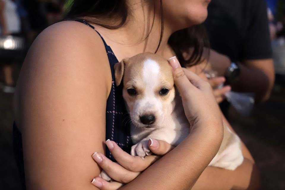 3ª Feira de Adoção de Animais acontece no sábado (28), em Porto Velho