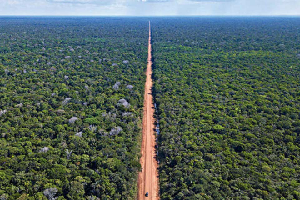 MPF quer que Ibama suspenda audiência sobre a BR-319 durante a pandemia; rodovia liga Rondônia ao Amazonas