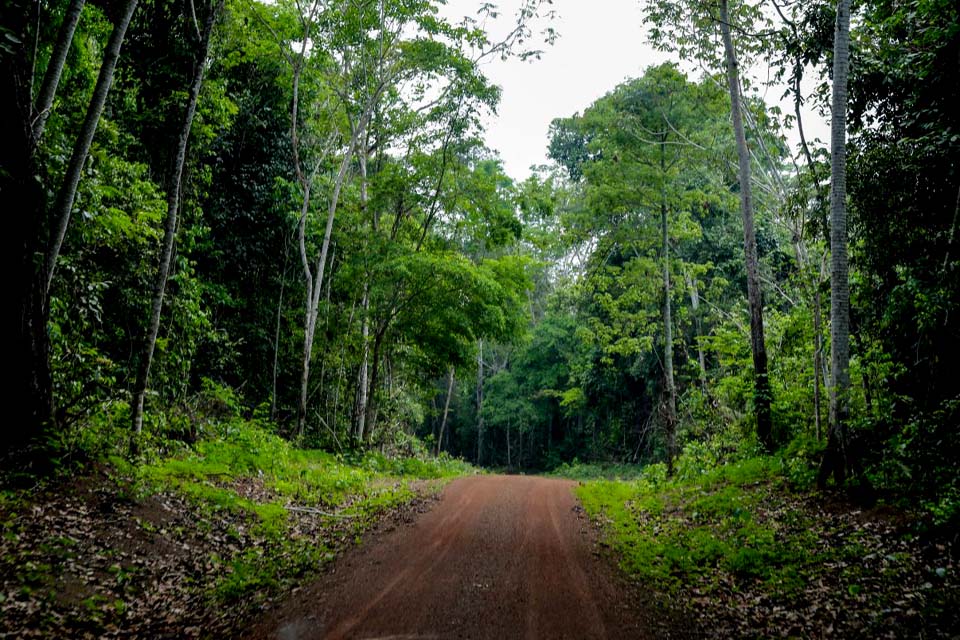 Ministério do Meio Ambiente sinaliza apoio ao projeto REDD+ em Rondônia; reservas extrativistas serão beneficiadas