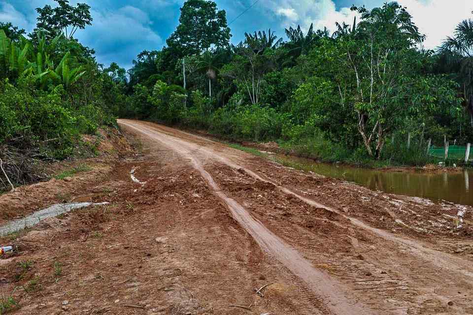 Ambientalistas denunciam desmatamento às margens da rodovia que liga Rondônia ao Amazonas