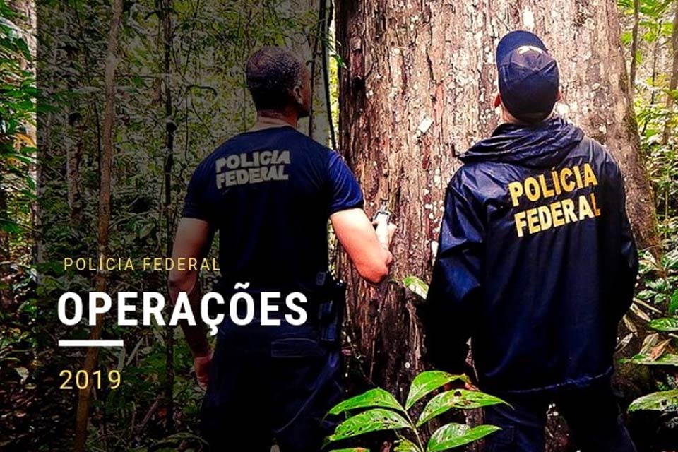 PF deflagra operação contra a extração e comércio ilegal de madeira em Rondônia e mais 7 estados