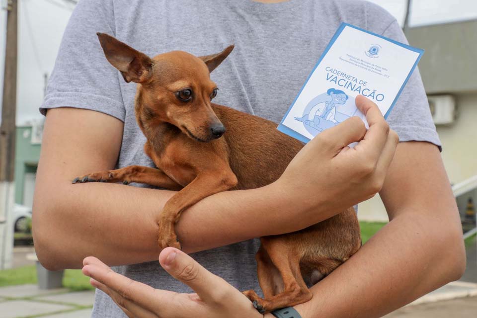 Dia D de Vacinação antirrábica para cães e gatos acontece em 100 pontos de Porto Velho