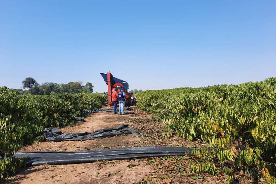 Emater Rondônia apresenta programa anual de assistência técnica e extensão rural 2022