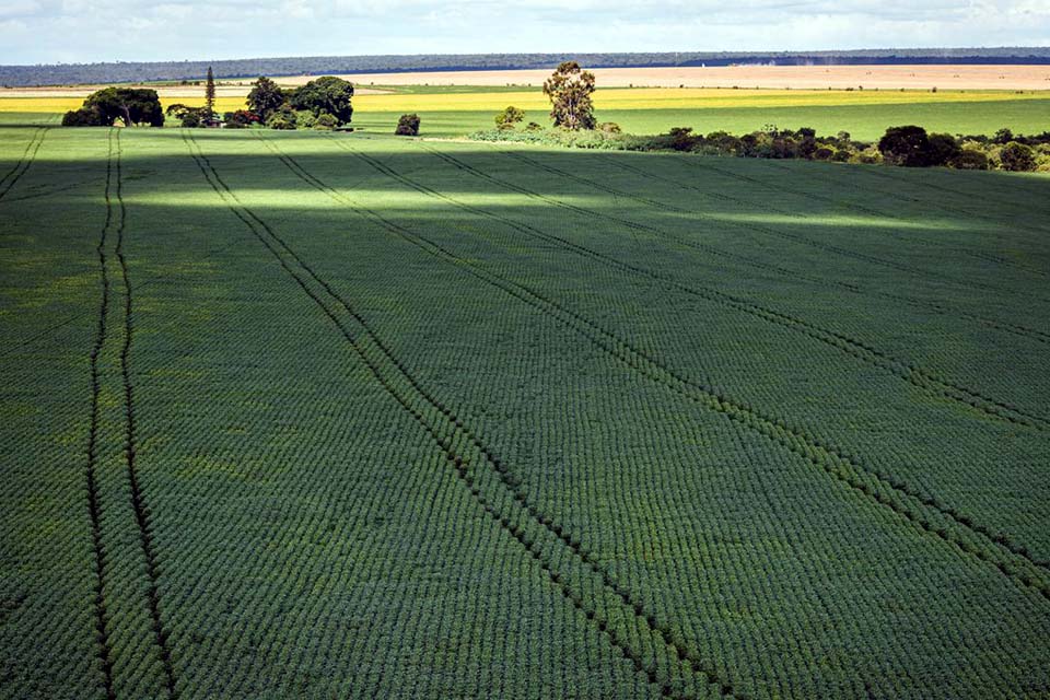 Produtores querem mostrar sustentabilidade da agropecuária na COP27