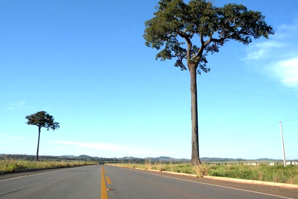 Obras de manutenção rodoviária ao longo da BR-429 começam na 1ª semana de junho