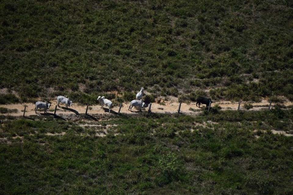 Ao tachar compromisso ambiental da China como ambíguo, RB relembra compra de gado criado em área embargada pela JBS em Rondônia