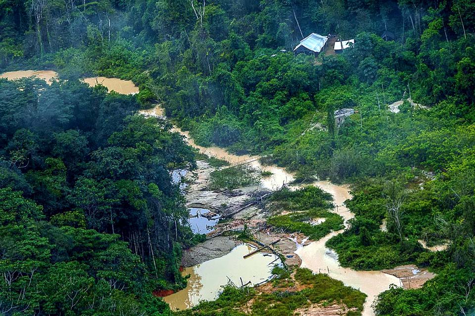 Greenpeace informa registro de quase 180 escavadeiras em terras Yanomami