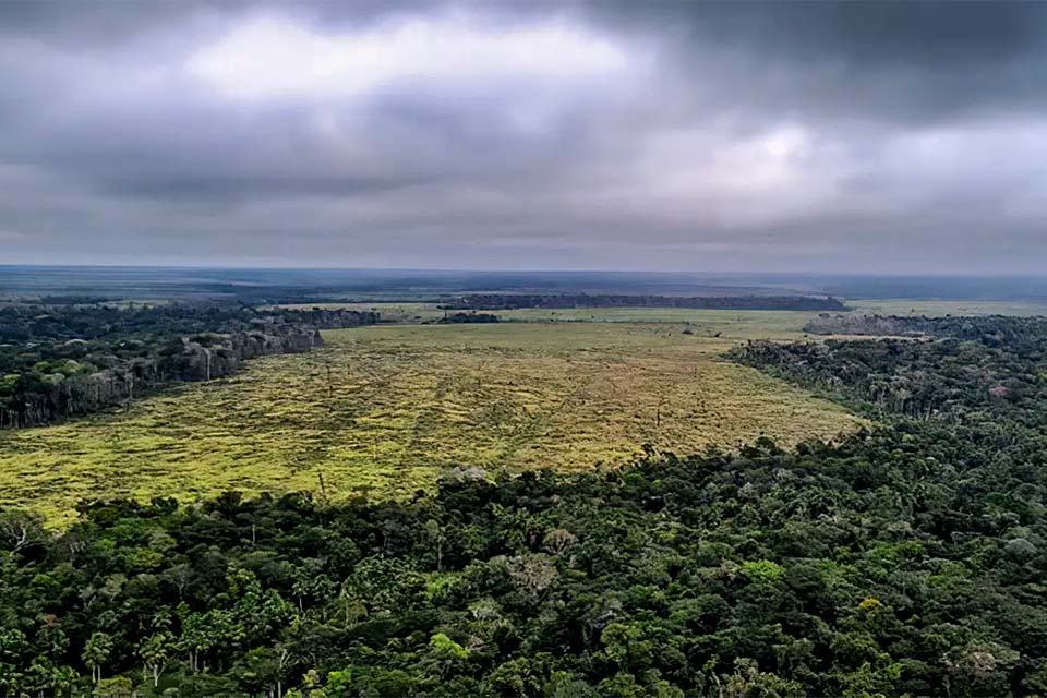 Desmatamento na Amazônia registra maior queda do ano em novembro