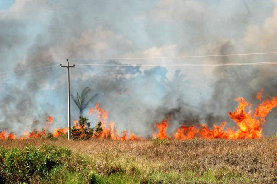 Decreto federal suspende por 120 dias uso do fogo, principalmente na Amazônia Legal