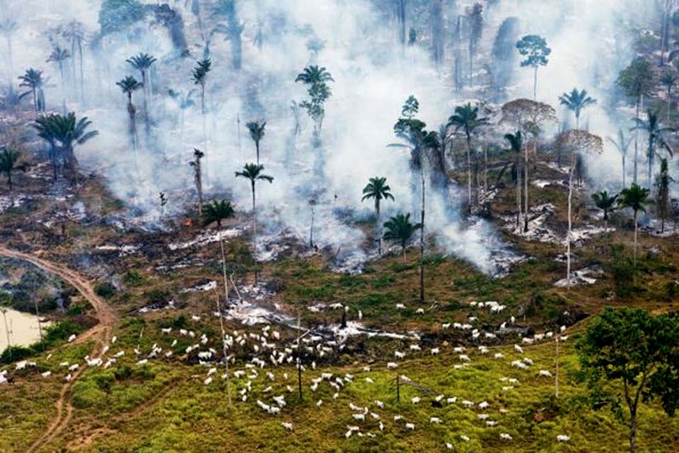 Concentração de CO2 na atmosfera bate recorde; parte da Amazônia vira emissora de gás estufa