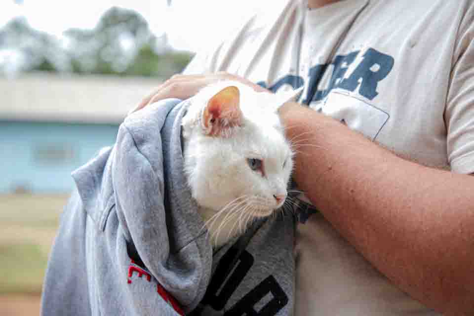 Cães e gatos da Linha Uberaba são vacinados contra a raiva