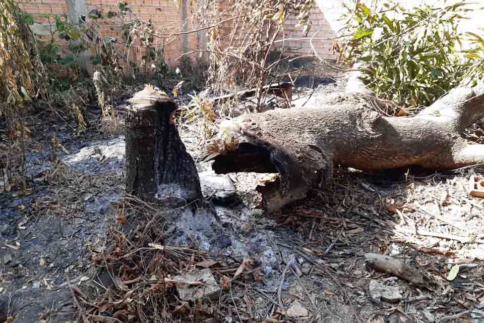 Combate a queimadas é reforçado durante a estiagem em Porto Velho