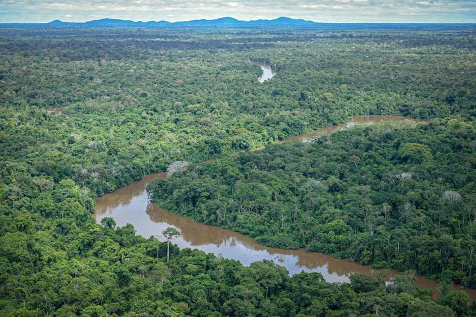 Rondônia registra a maior queda na taxa de desmatamento da Amazônia em 2023 