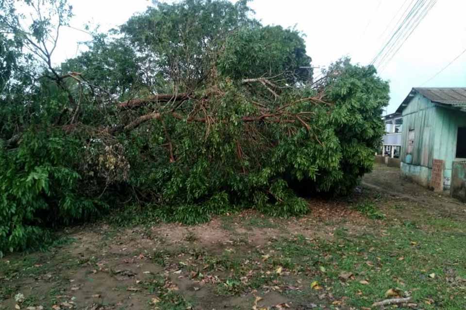 Severidade das chuvas exige atenção para segurança com rede elétrica