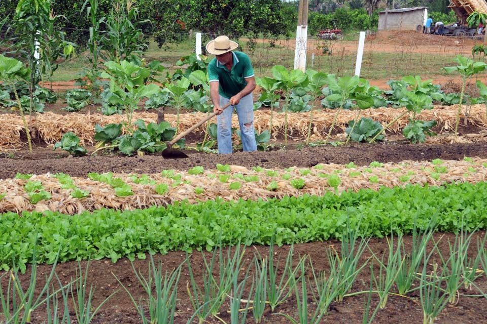 Fortalecimento da agricultura familiar é o pilar do governo de Rondônia no Dia Internacional da Agricultura Familiar