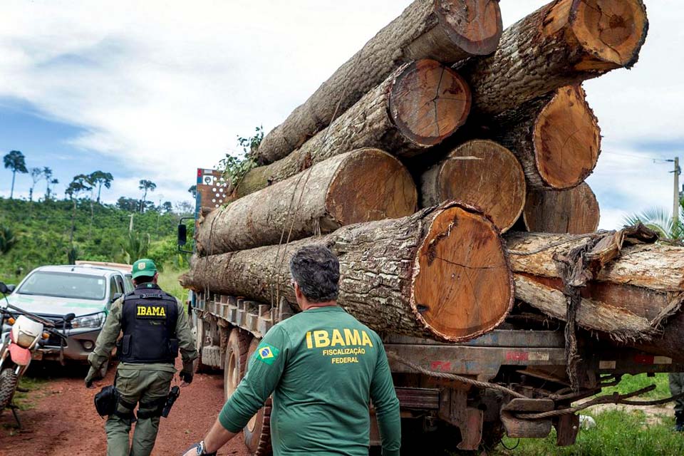 Ibama: Grupo vai fiscalizar fraudes em sistemas de controle florestal