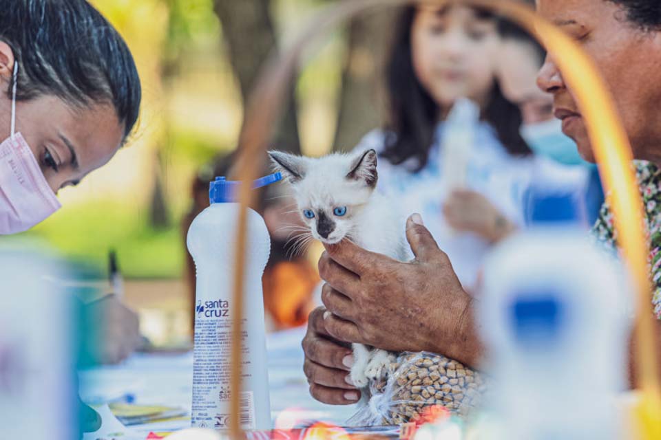 Mais de cem animais ganharam um novo lar durante a I Feira da Adoção de cães e gatos em Porto Velho