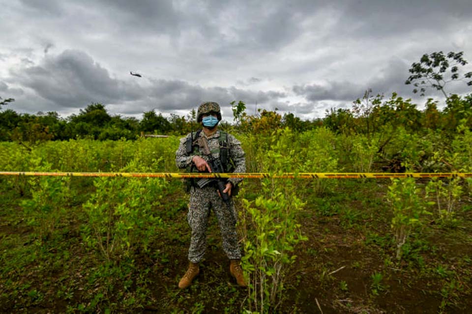 Colômbia tem maior quantidade de cultivo de drogas do mundo na fronteira com Venezuela