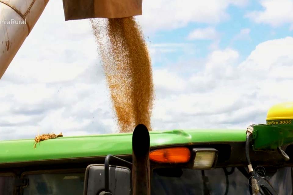 Colheita de soja atrasa na região devido às chuvas na região