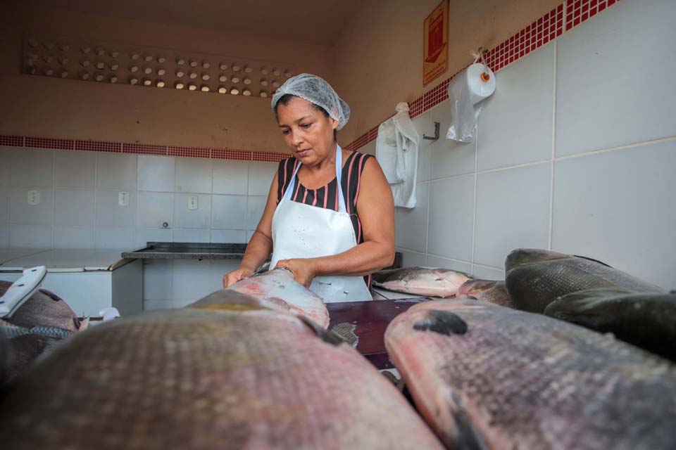 Confira as vagas de emprego ofertadas pelo Sine Municipal de Porto Velho nesta terça-feira (5)