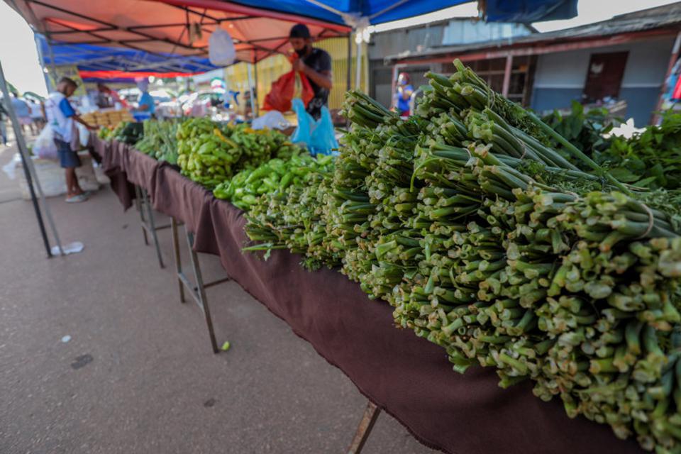 Agricultores familiares podem efetuar o cadastro no programa de merenda escolar até segunda-feira (31)