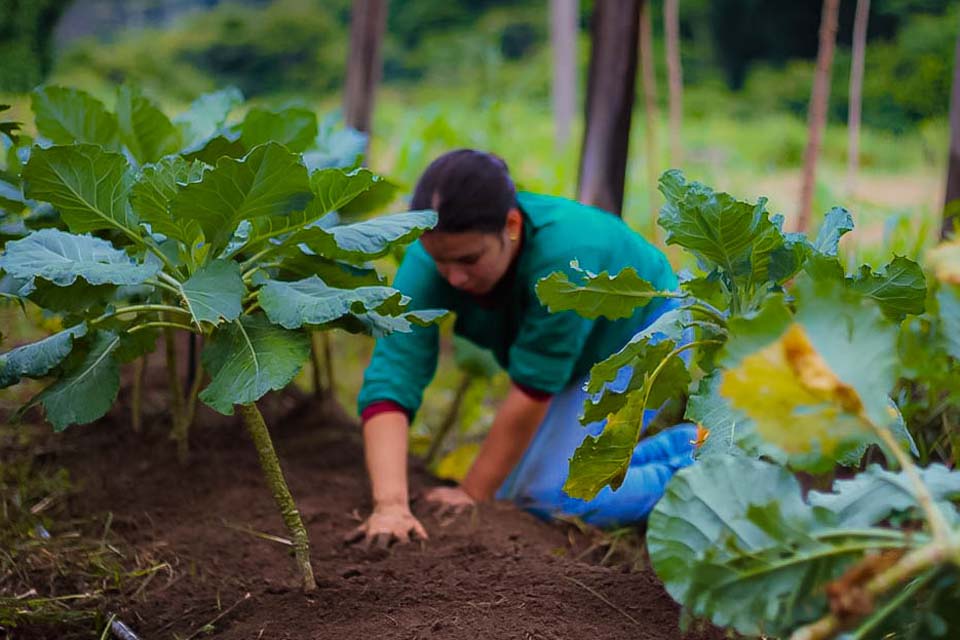 Projeto “Governo no Campo” vai fortalecer Agricultura Familiar nos 52 municípios de Rondônia