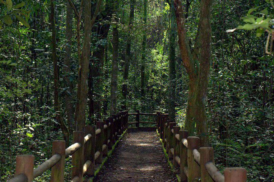 ICMBio autoriza reabertura do Parque Nacional de Brasília