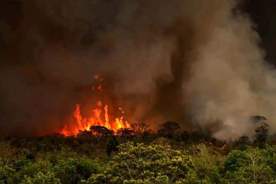 Incêndios podem ter afetado mais de 11 milhões de pessoas no Brasil