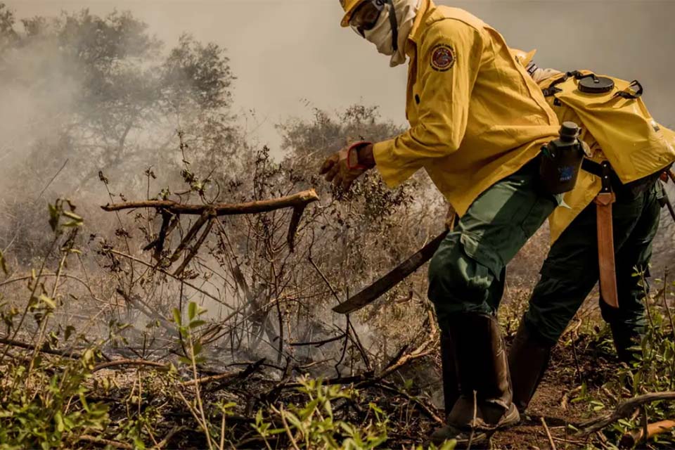 Incêndios no Pantanal já consumiram este ano mais de 15% do bioma