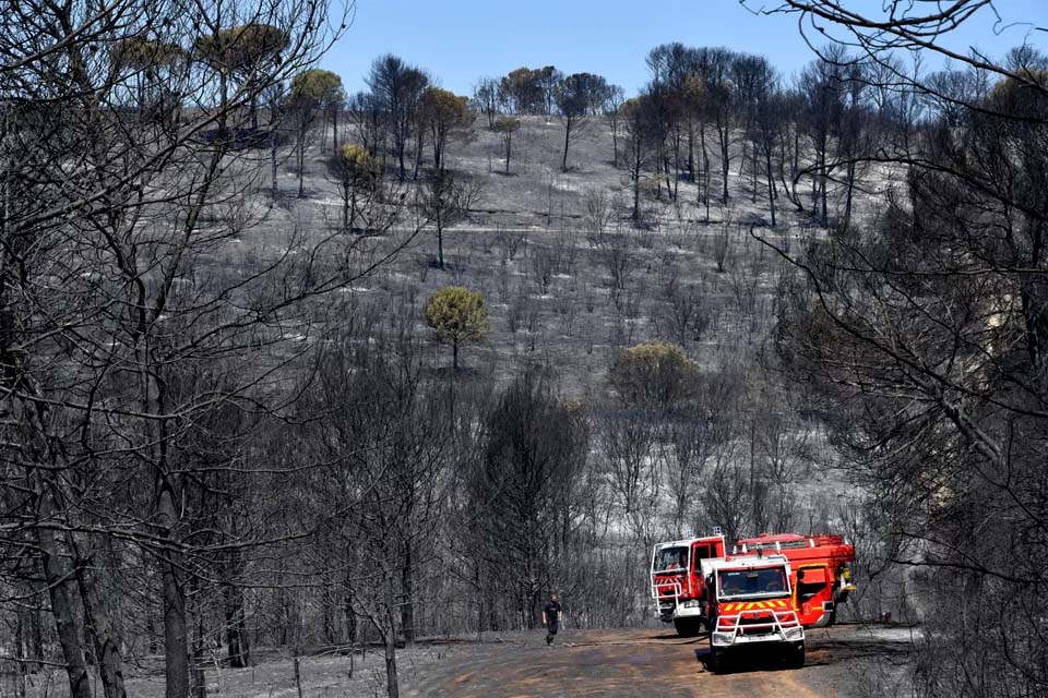 Incêndio destrói centenas de hectares de floresta no Sul da França