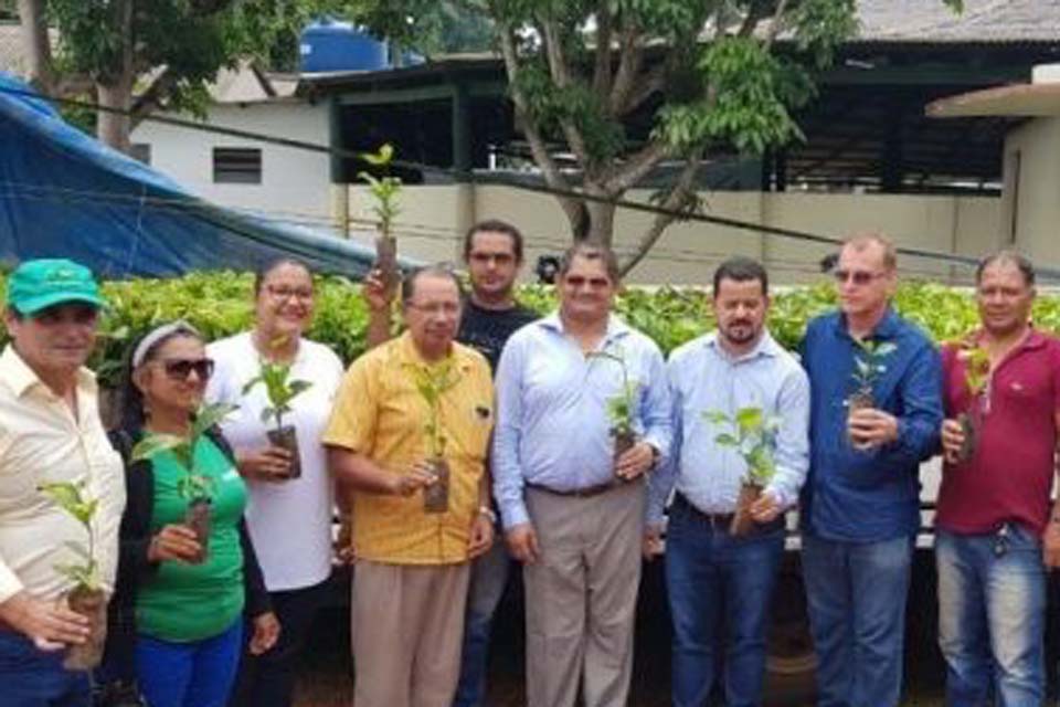 Governo entrega mudas de café clonal para cinco produtores rurais 