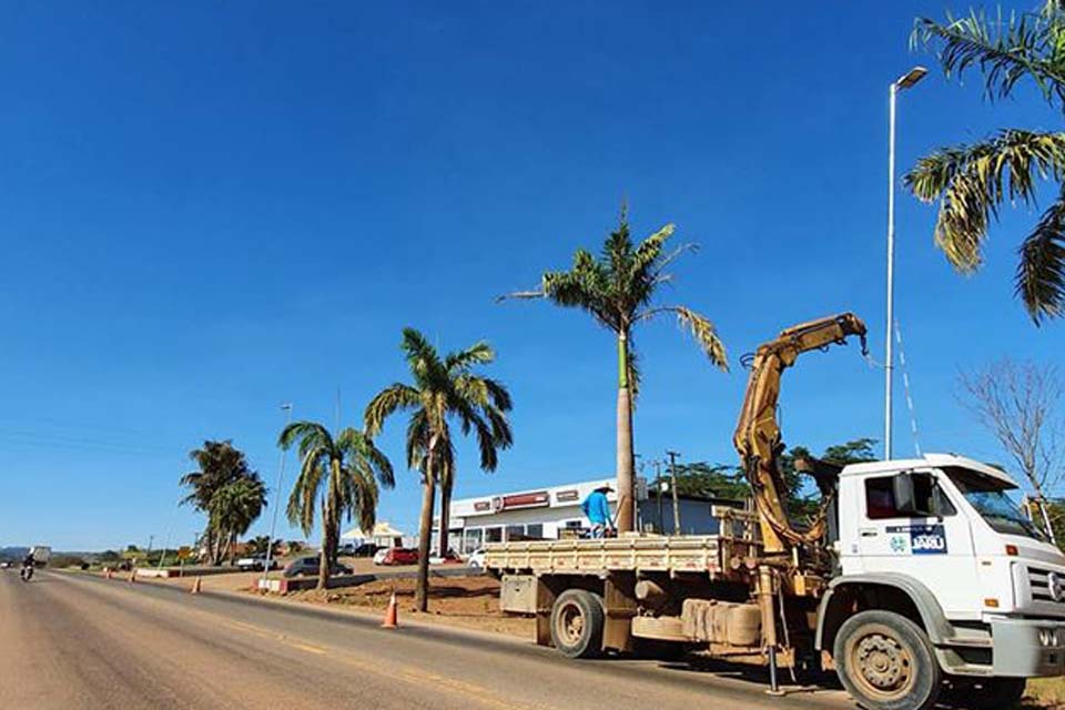 Serviços: Prefeitura disponibiliza canal exclusivo para solicitações de troca de lâmpadas