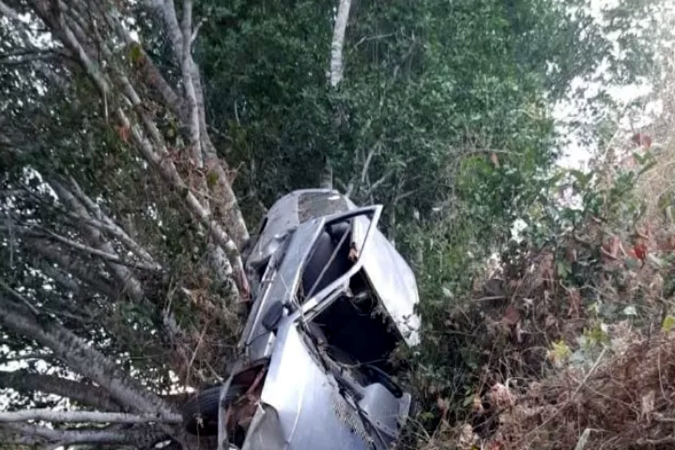 Carro sai da pista e fica pendurado em árvore na BR-435