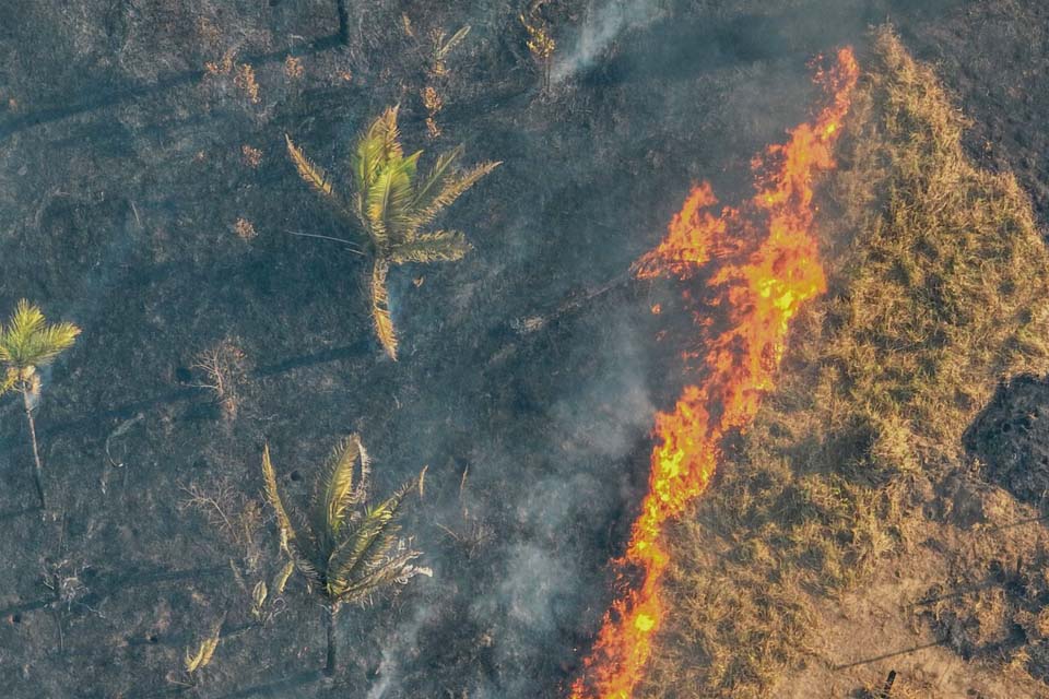 Prefeitura já recebeu mais de 250 denúncias de queimadas este ano em Porto Velho