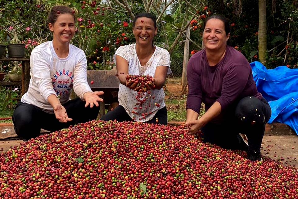 Produtora de Jaru fica em 3° lugar na região do Território Central do ConCafé