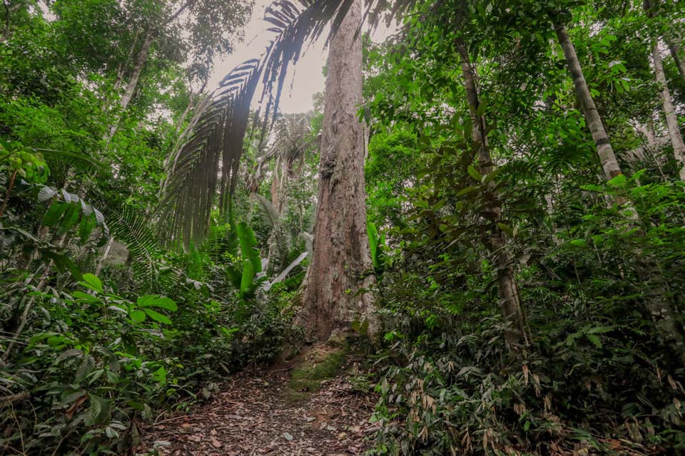 Prefeitura de porto Velho e parceiros realizam evento sobre sustentabilidade e mudanças climáticas nestes dias 15 e 16