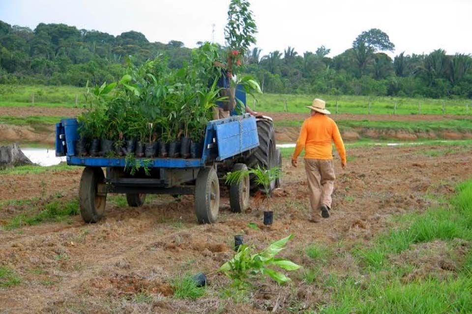 Embrapa e Rioterra unem esforços para a recuperação de áreas degradadas em Rondônia