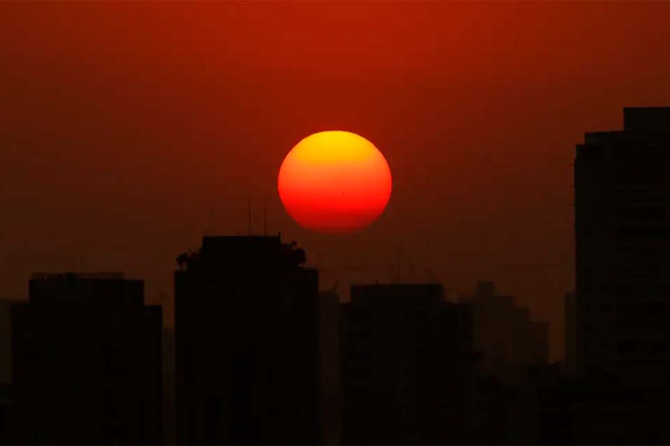 Mudanças climáticas agravam insegurança alimentar, diz pesquisadora