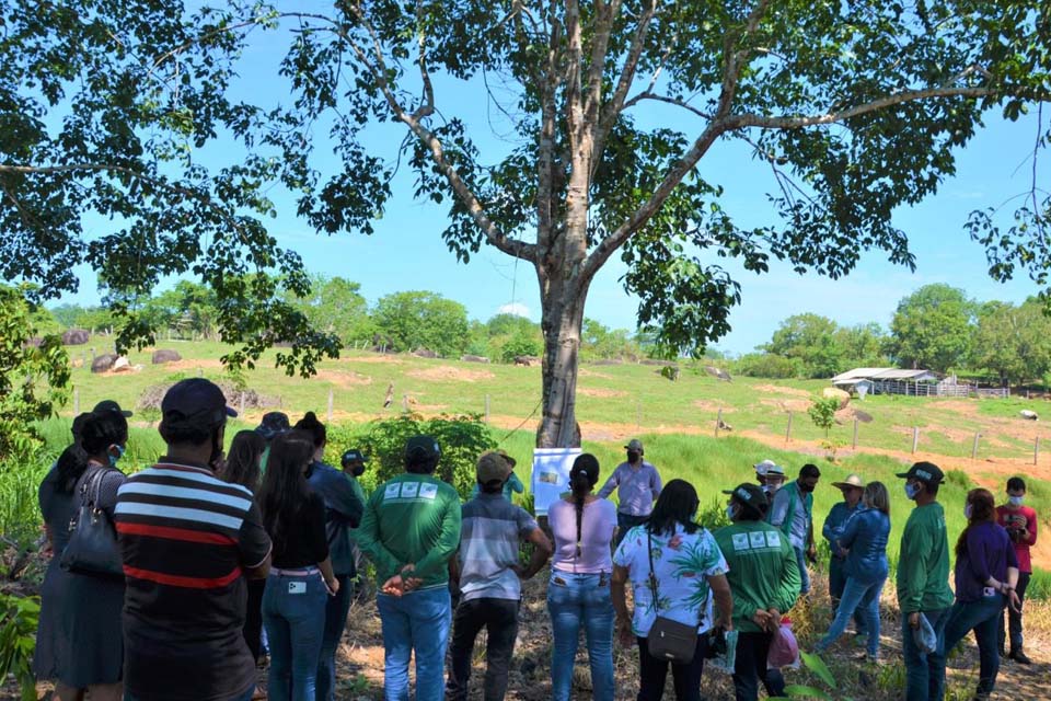 Dia de Campo leva técnicas de produção de cacau tecnificado para produtores do município